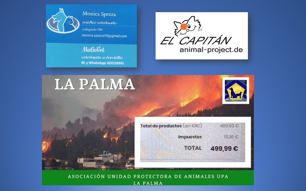 Solidarität mit Tierschützern auf La Palma