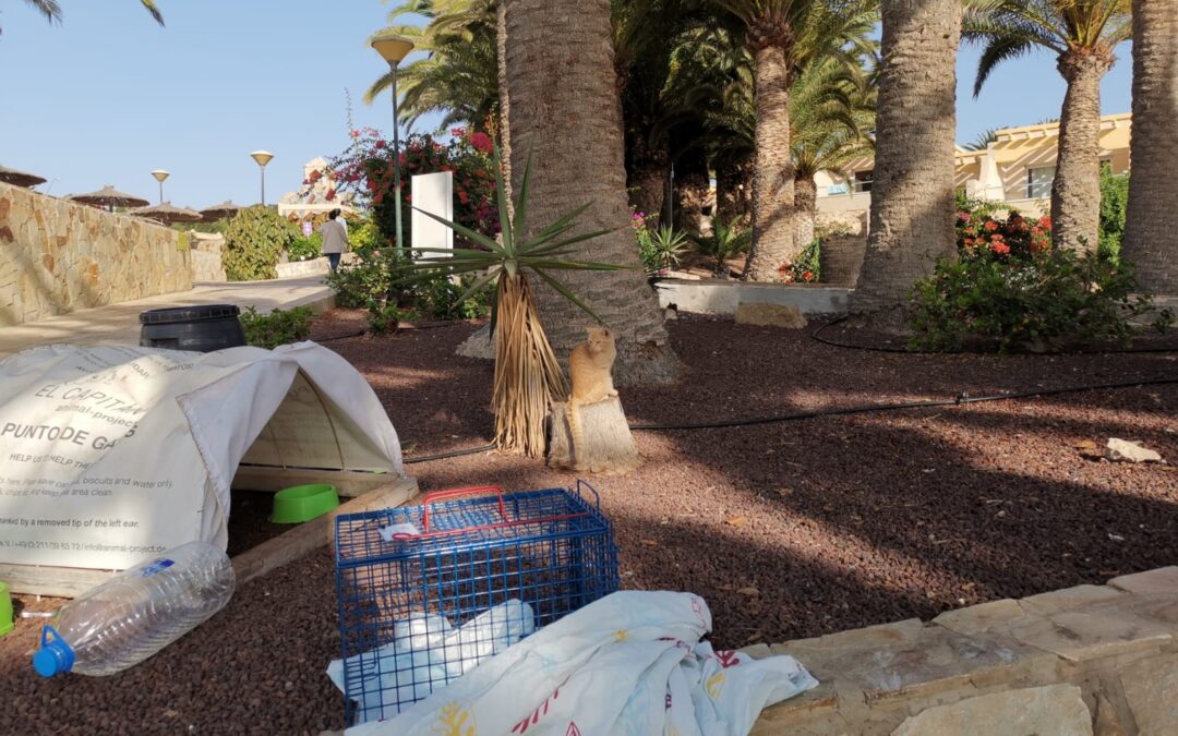 Aktiv-Urlaub auf Fuerteventura