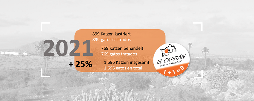 Rückblick auf 2021