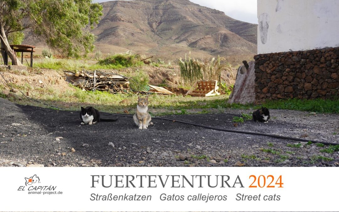 EL CAPITÁN Charity Kalender 2024